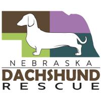 Wiener Dog (@nebdoxrescue) 's Twitter Profile Photo