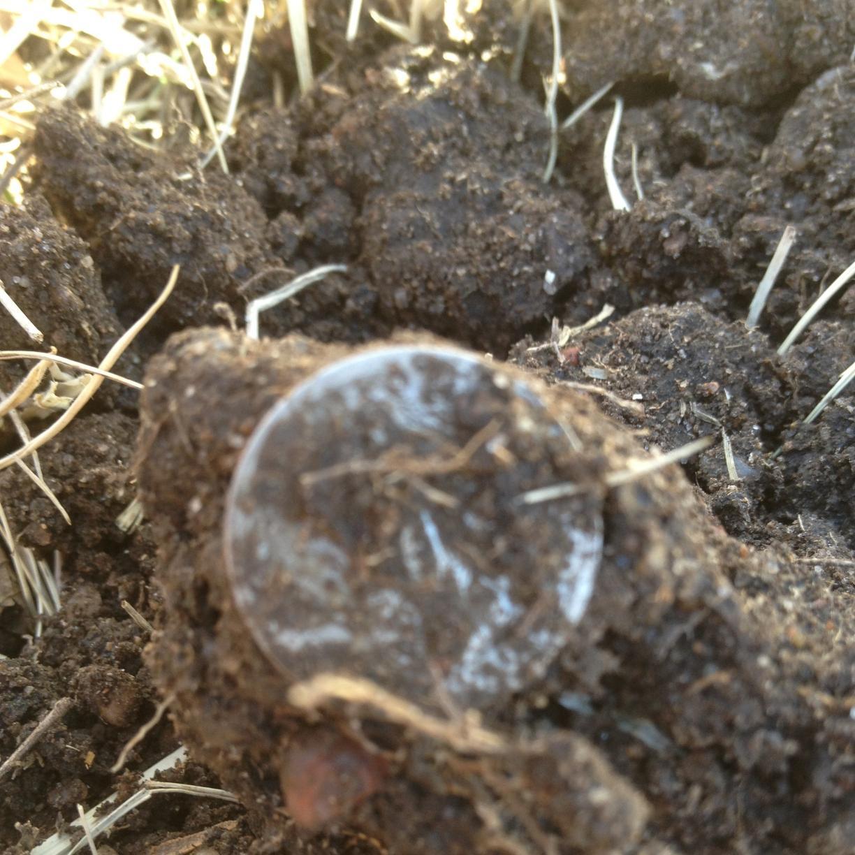 Two guys with metal detectors that want to share our hunts, sites, finds, and joys out detecting!