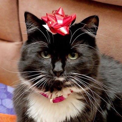 Profile Picture of Carol Lauterbach (@MrsDaveDoonan) on Twitter