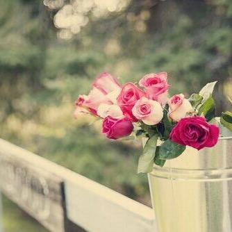 Bu4ZocP7hCvYxcw's profile picture. 