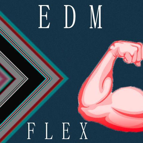 EDMFLEX's profile picture. Showcasing the latest up and coming EDM Artists