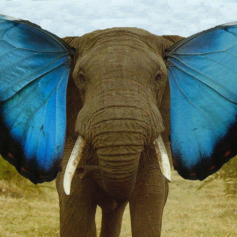 CommunityMemoir's profile picture. We bring free memoir-writing workshops to public libraries, publish books of the neighborhood's stories, and create a history of the rest of us.