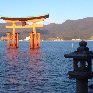 gingervaughn100's profile picture. I'm a communications and marketing specialist. I've climbed Japan's 100 peaks, love scuba diving, learning about environment, energy, immigration, and science.