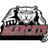 BHillsBearcats's profile image
