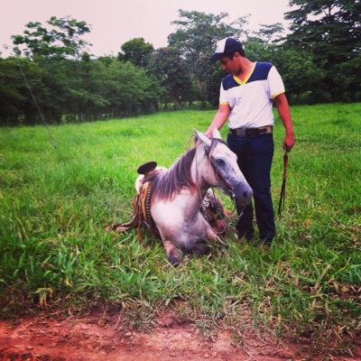 Ranchero de nacimiento,charro en crecimiento.