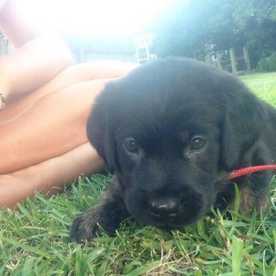 Seb_Strobert's profile picture. Live The Search