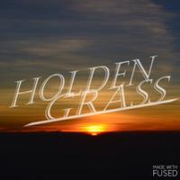 Holden grass (@holdengrass) 's Twitter Profile