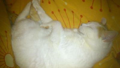 Mouille_2083's profile picture. 