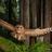 seckman_renea's profile image