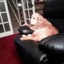 Muriel turner - @Murielturner1 - Twitter