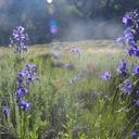 Catherine Silver - @CatSilverWrites - Twitter