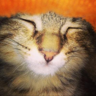 MeenalMandviya's profile picture. fun loving gal .!!