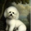 Ann Carrier - @anonymousann4 - Twitter