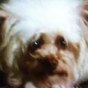 Jared Tharp - @JaredTharpArt - Twitter