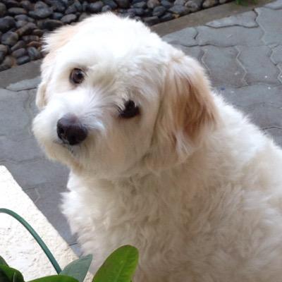 madameteta's profile picture. 