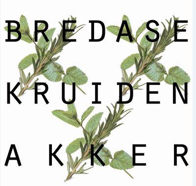 Lokale smaakmakers | voor en door Bredanaars | vers stadskruid | social enterprise | stadslandbouw