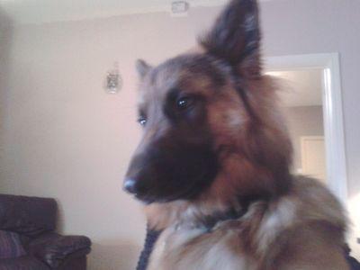 AndyMan80s's profile picture. It's me and that's all there is to say about it lol.