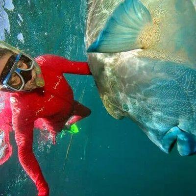 EdwardJohnEDWA1's profile picture. retired crippled pensioner with emphysemia which meets Scott Morrison's definition of. a peasant. Full of diseases and sound like Housos.