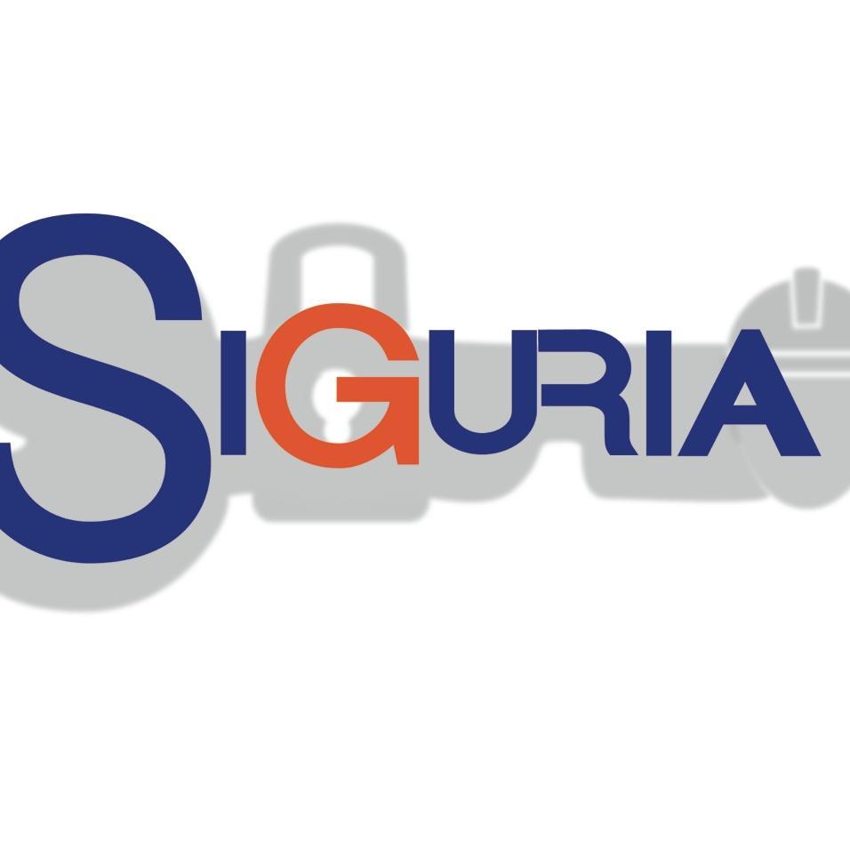 Seguridad Electrónica / Mtto Residencial y Comercial
