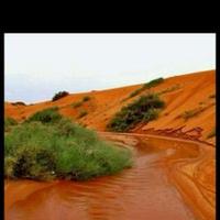 الهلال (@a__bb511) 's Twitter Profile