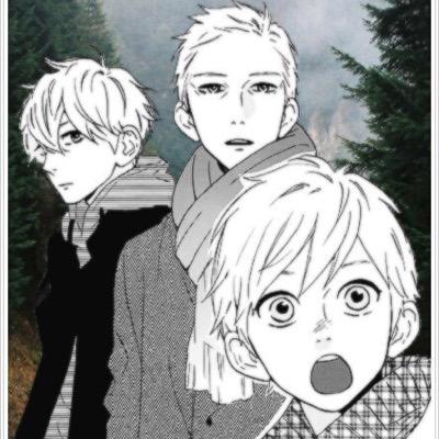 sorry mom i'm gay
