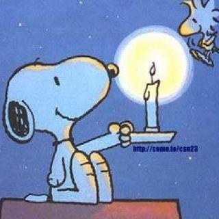 Rin_ne__1's profile picture. 