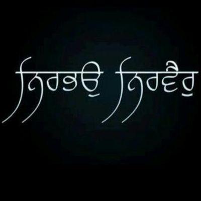 484f29cefba248c's profile picture. goldy