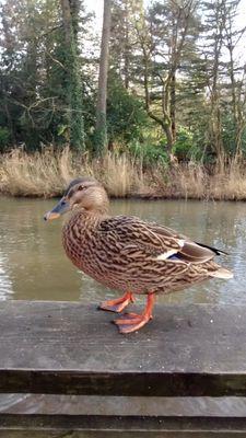 72a3d13ddc284e0's profile picture. 