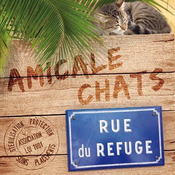 amicalechats's profile picture. Association de protection féline ayant plus de 25 ans d'existence, nous avons la responsabilité d'un lieu de vie recueillant plus de 350 chats