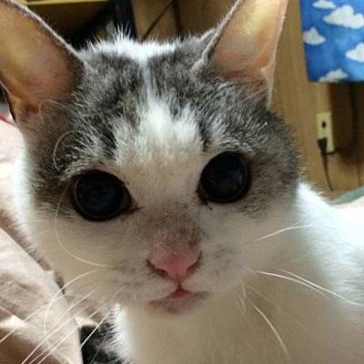 なおさんのプロフィール画像