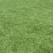 agilimited's profile picture. Artificial grass importers, Quality Chinese products direct from the manufacturers.