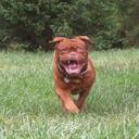 Fernando Saravia - @F_Saravia_C21 - Twitter