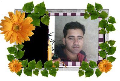 hlo.sr