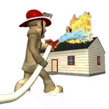 work at west bengal fire & emergency service.