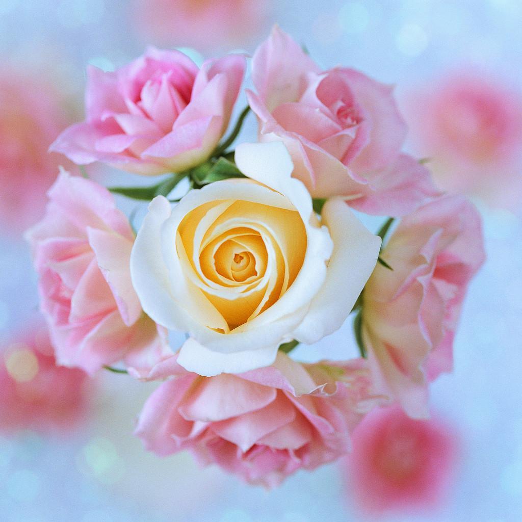 結婚についての名言集。身にしみます。