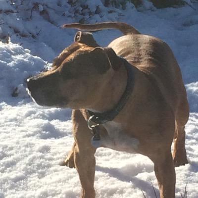 t121cky's profile picture. 40 something and living the dream