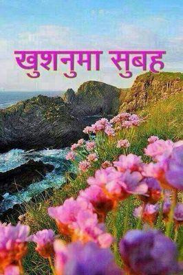 bhat_shetan's profile picture. shetan bhat