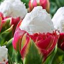 magda nowak - @mieczyslawa59 - Twitter