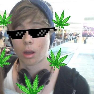 i had no ideas for my bio so ily bye
