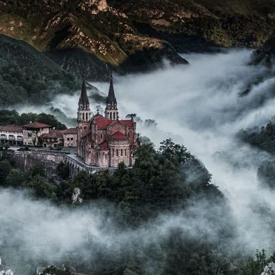 nsoldevilla's profile picture. 