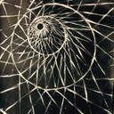 Theo Clarke - @TheoClarke21 - Twitter