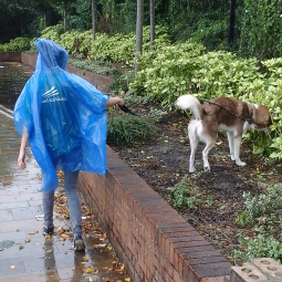 blogpzp's profile picture. 