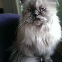 Dee Hunt - @deehunt212 - Twitter