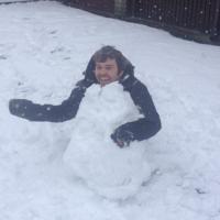 Josh Collins (@joshfcollins) 's Twitter Profile