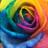 LisaCanelle's profile image