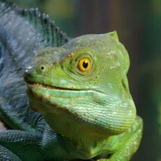 CiderPunk's profile picture. webpirate ninja extraudinaire AKA Matt Lander, my apps: https://t.co/zghJkXarlf  https://t.co/BInilFXN0U…