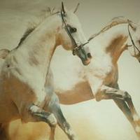 RIZA PAMUK (@pamuk1973) 's Twitter Profile Photo