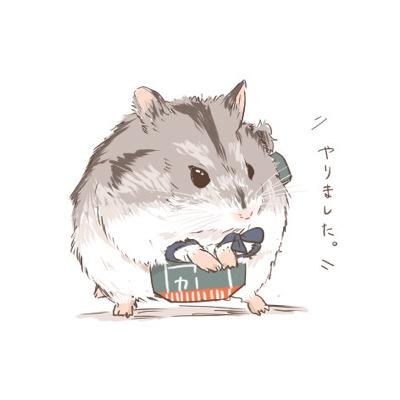 隣のトトロウ