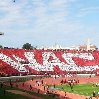 ahmed_egl's profile picture. 