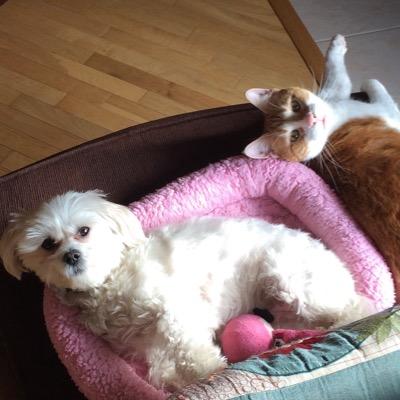 lisa_rine's profile picture. 